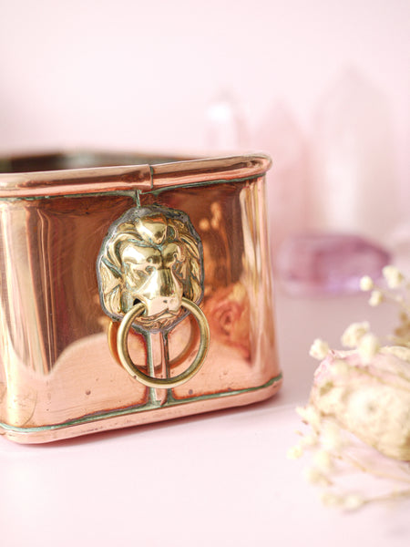 Copper Lion Jardiniere Planter *COLLECTIBLE FIND*
