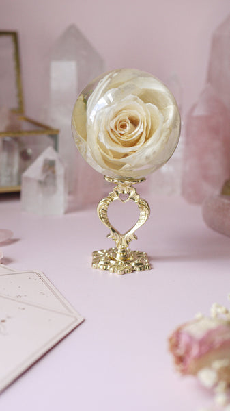 My Heart Belongs to You Stand