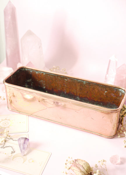 Copper Lion Jardiniere Planter *COLLECTIBLE FIND*