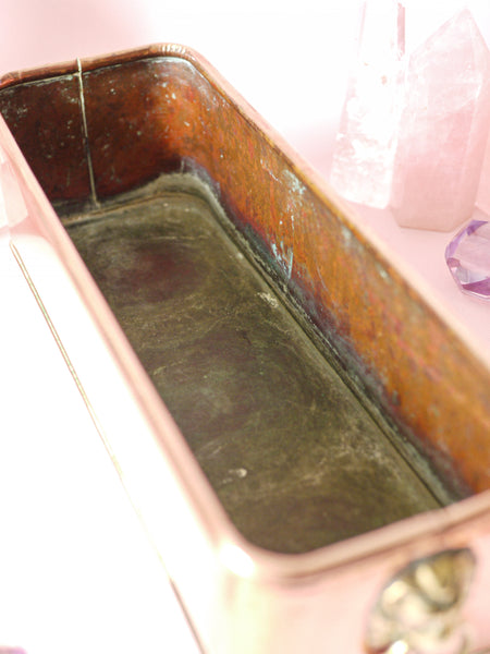 Copper Lion Jardiniere Planter *COLLECTIBLE FIND*