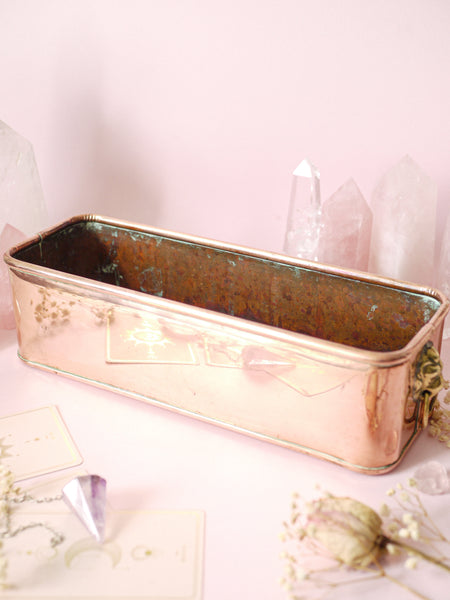 Copper Lion Jardiniere Planter *COLLECTIBLE FIND*