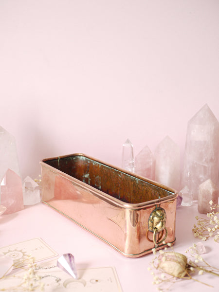 Copper Lion Jardiniere Planter *COLLECTIBLE FIND*