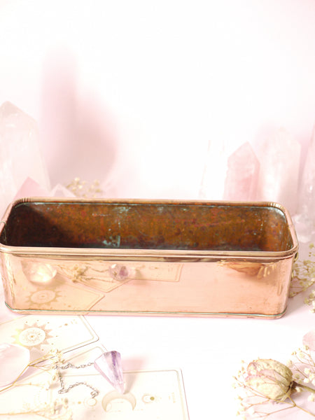 Copper Lion Jardiniere Planter *COLLECTIBLE FIND*