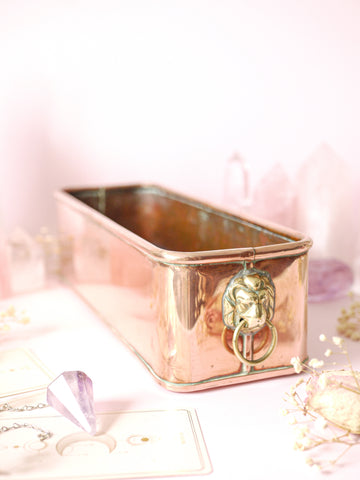 Copper Lion Jardiniere Planter *COLLECTIBLE FIND*